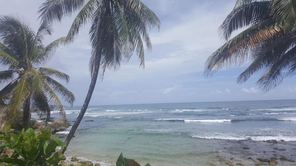 Donamae 2 Story Barbados House Villa บริดจ์ทาวน์ ภายนอก รูปภาพ