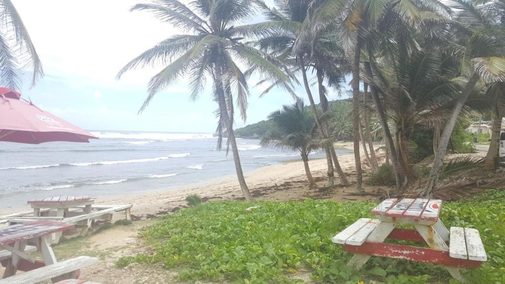 Donamae 2 Story Barbados House Villa บริดจ์ทาวน์ ภายนอก รูปภาพ